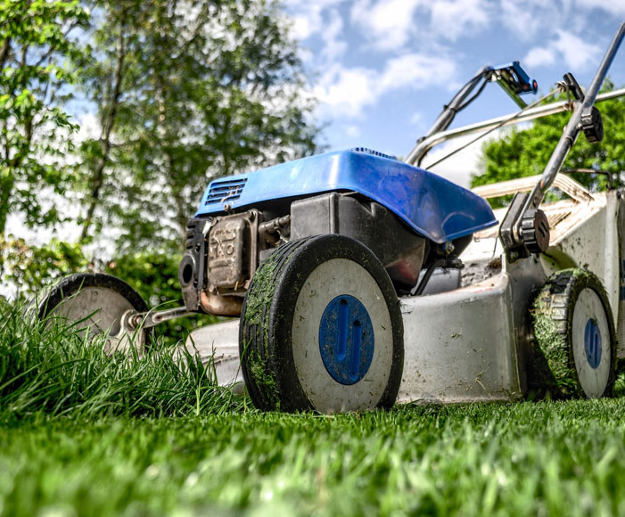Travaux d'élagage à Tournefeuille